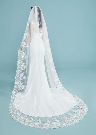 Hailey Veil