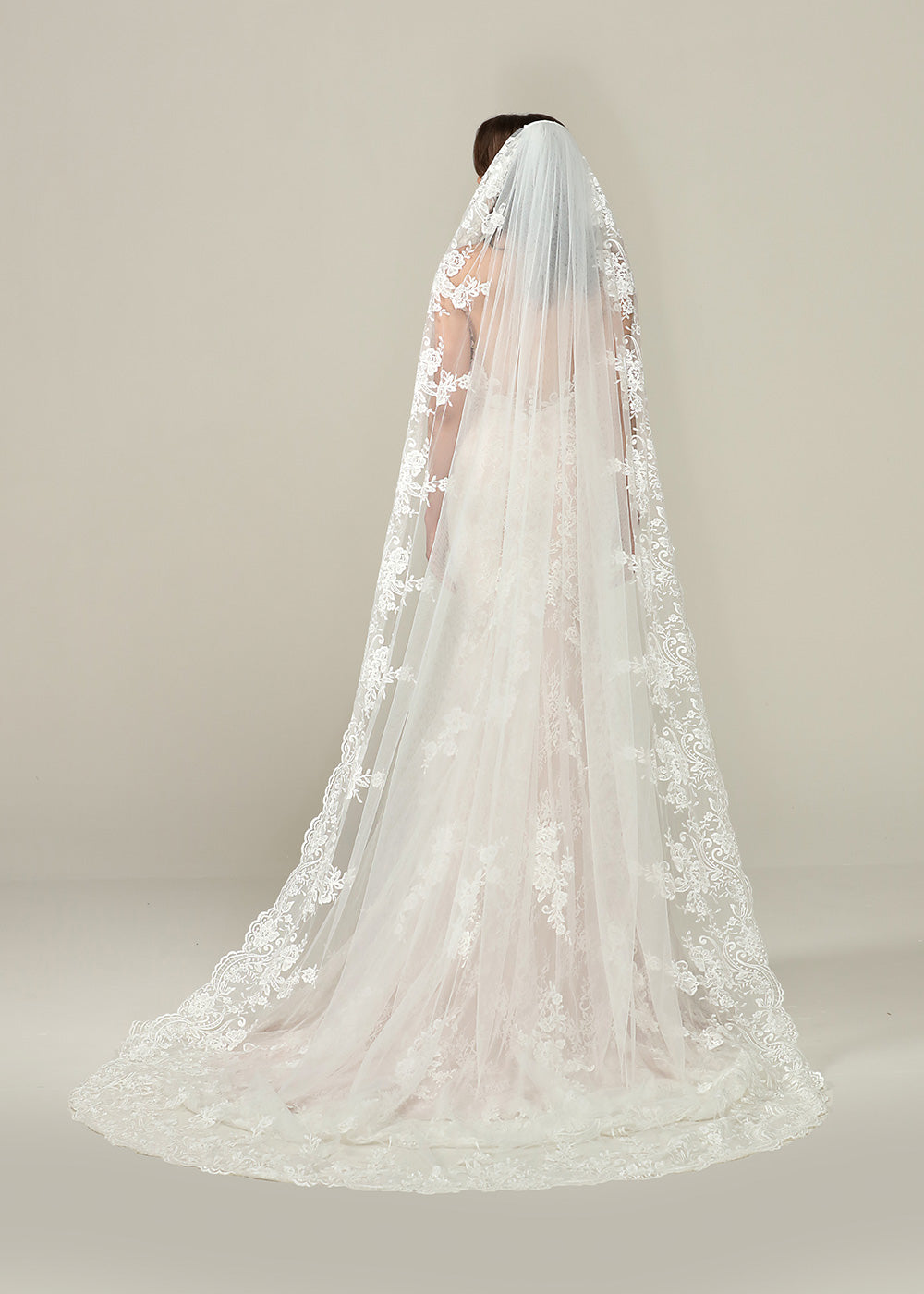 Hailey Veil
