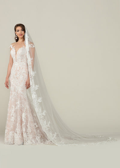 Hailey Veil