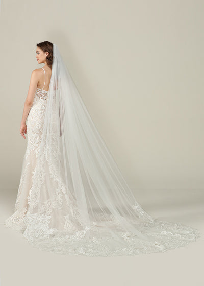 Morgan Veil