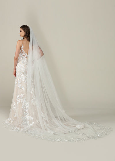 Charlie Veil